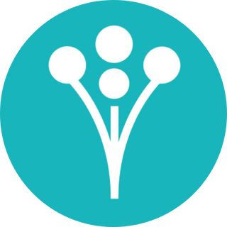 WeddingWire Logo